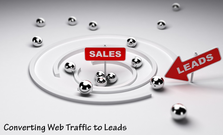 web-traffic-leads