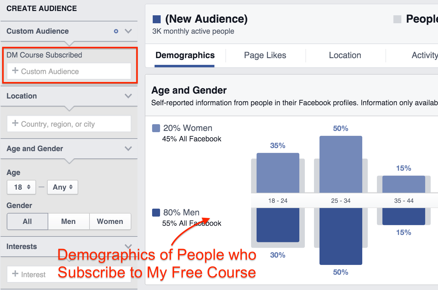 custom audience insights fb